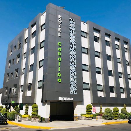 Hotel Catalina Mexico City Ngoại thất bức ảnh